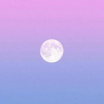 这个道友很危险破解版下载