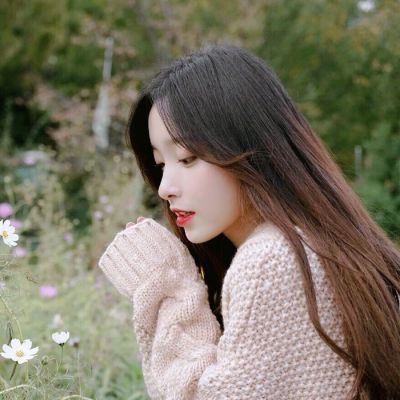 契约学院破解版下载